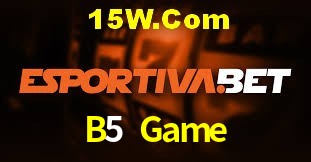 Sports Statistics B5 Game